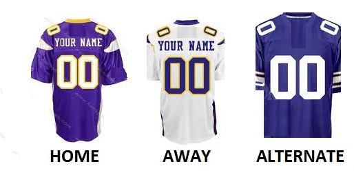 (image for) MINNESOTA Pro Football Number Kit - Click Image to Close